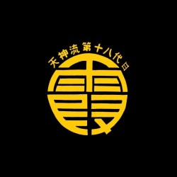 Tee shirt Dead or Alive Kasumi symbol  sublimation