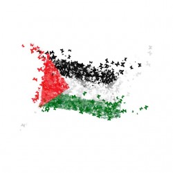 tee shirt palestine libre sublimation