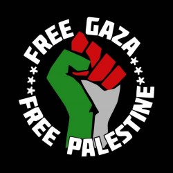 t-shirt free palestine black sublimation