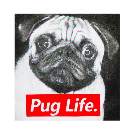 tee shirt Pug life  sublimation