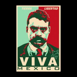 shirt tierra libertad Viva mexico black sublimation