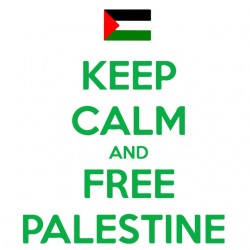 keep calm and free palestine t-shirt white sublimation