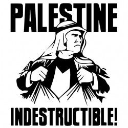 indestructible palestine t-shirt white sublimation