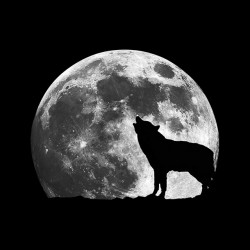 werewolf t-shirt full moon black sublimation