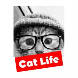 tee shirt Cat life sublimation