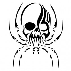 tee shirt skull spider...