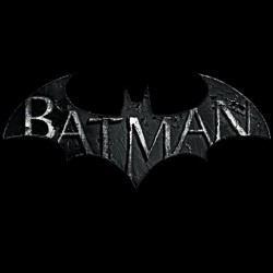 tee shirt batman logo  sublimation