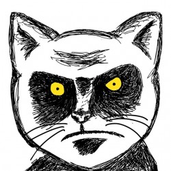 tee shirt angry cat...