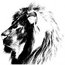 tee shirt lion de profil  sublimation