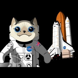 tee shirt cata parodie chat astronaute  sublimation