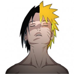 tee shirt Naruto Sasuke...