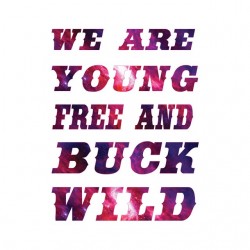 tee shirt we are young free...