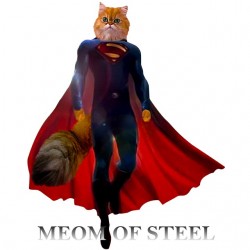 tee shirt Meom of steel parodie  sublimation