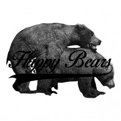 tee shirt Happy bears  sublimation