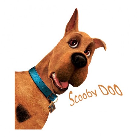 tee shirt Scooby Doo  sublimation