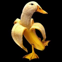 tee shirt banana duck  sublimation