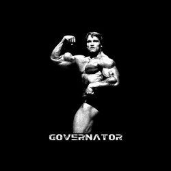 Tee shirt Arnold Schwarzenegger Governator  sublimation