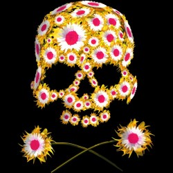 tee shirt Flower Skull  sublimation