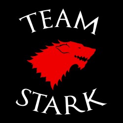 Team Stark t-shirt black sublimation