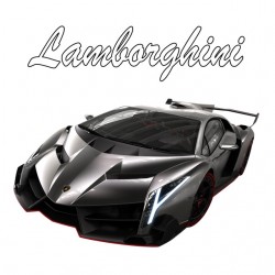 Lamborghini white...