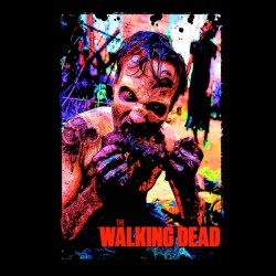 tee shirt the walking dead affiche  sublimation