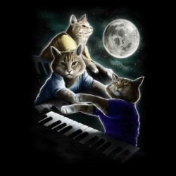 tee shirt les chats pianistes  sublimation