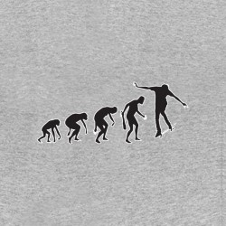 tee shirt skateur evolution gris sublimation