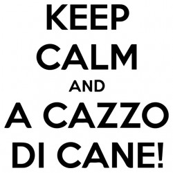 tee shirt keep calm and a cazzo di cane  sublimation