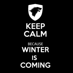 tee shirt keep calm because winter is coming  sublimation