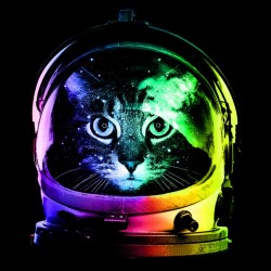 tee shirt astronaut cat  sublimation