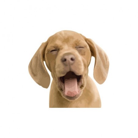 Tee shirt Chien qui baille  sublimation