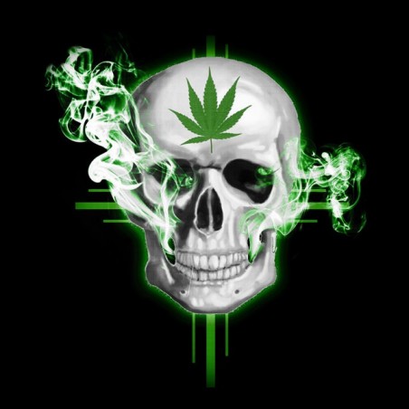 tee shirt marijuana skull  sublimation