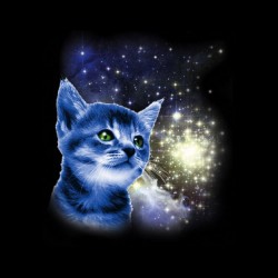 shirt the cat in sublimation space