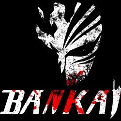 tee shirt Bleach  Bankai sublimation
