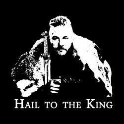 tee shirt vikings hail to the king  sublimation