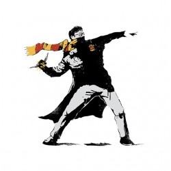 tee shirt banksy harry potter  sublimation