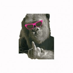 Gorilla Pink Glasses T-shirt Fuck Off white sublimation