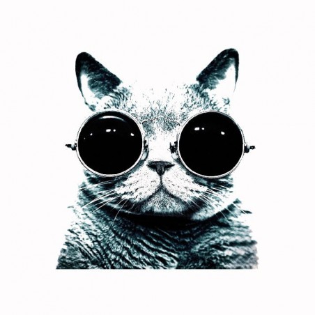 Tee shirt lenon cat glasses  sublimation