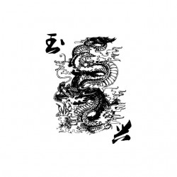 Chinese Dragon t-shirt artwork white sublimation