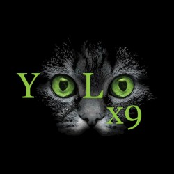 teeshirt yolo black cat sublimation