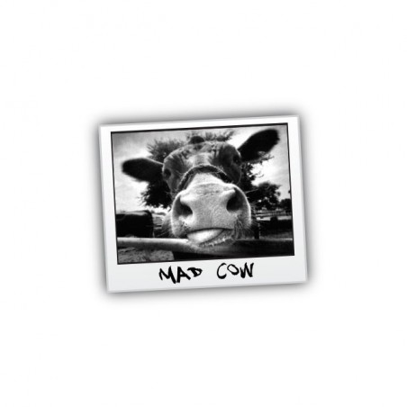 Mad Cow white sublimation t-shirt