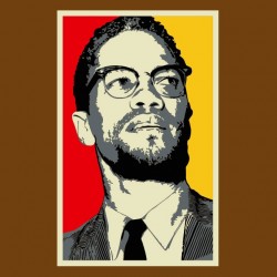 shirt malcolm x wide brown sublimation