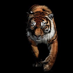 Tiger sublimation black t-shirt