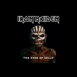 tee shirt iron maiden book of souls sublimation