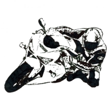 Tee shirt Moto sport  sublimation