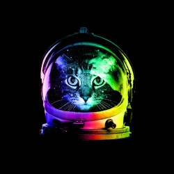 shirt cat astronaut sublimation