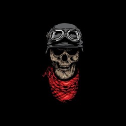 Black skull biker sublimation t-shirt