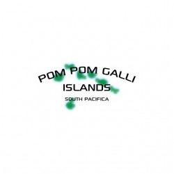 Tee shirt La Classe Américaine PomPom Galli islands  sublimation