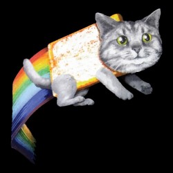 Tee shirt Nyan chat de l'espace Space cat Galaxy cat  sublimation