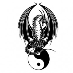 Tee shirt tatouage dragon version fantastique en  sublimation